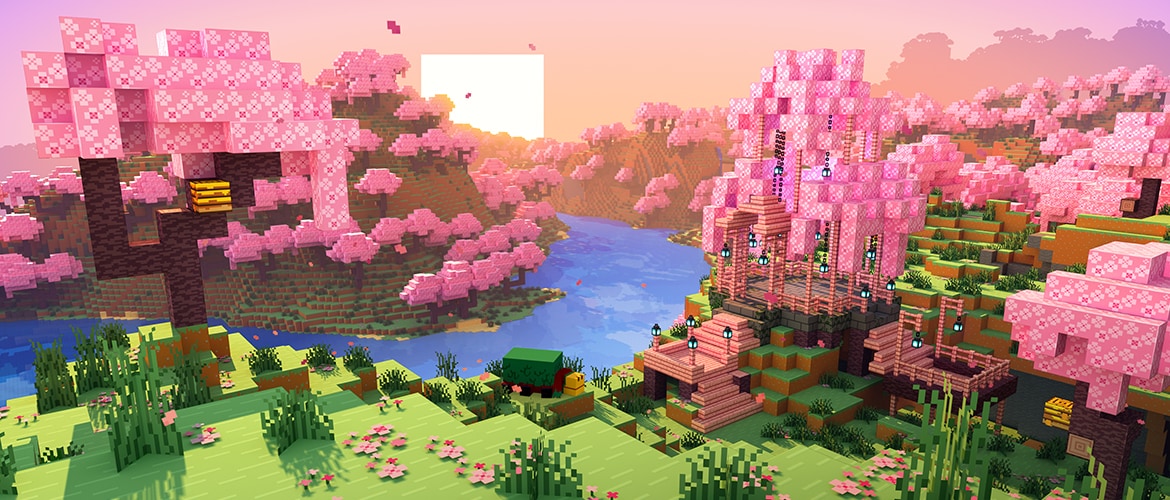 Minecraft Kayıt